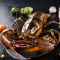 Live Boston Lobster